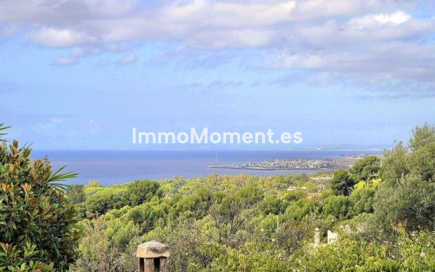 Wiederverkauf - Freistehende Villa - Marbella - Marbella Centro