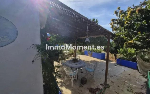 Revente - Villa individuelle - Sotogrande - San Roque