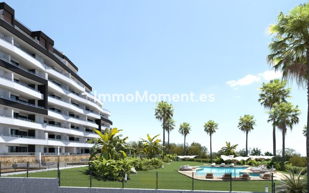 Neubau - Wohnung - San Miguel de Salinas