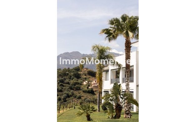 Revente - Appartement - Estepona  - Estepona Centro
