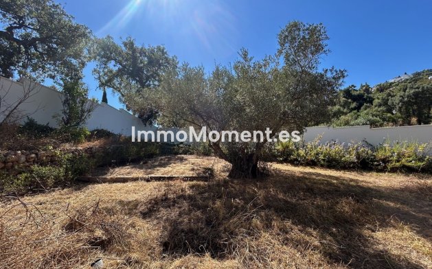 Bestaande woning - Vrijstaande villa - Marbella - La Mairena