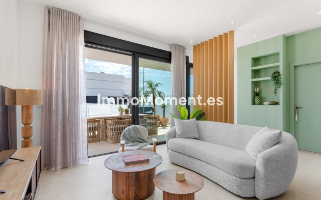 Construction neuve - Maison mitoyenne - Dolores