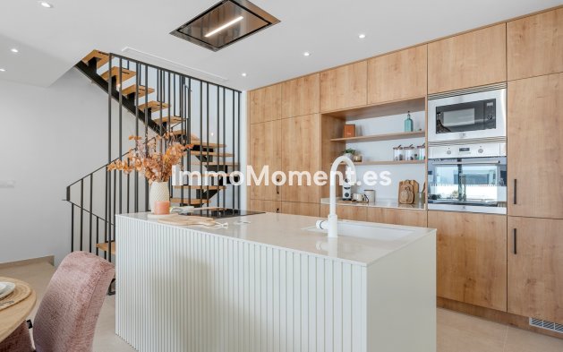Construction neuve - Maison mitoyenne - Dolores