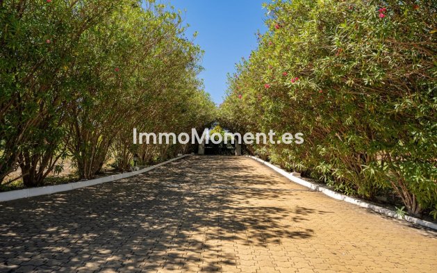 Bestaande woning - Landhuis - Estepona  - Cancelada