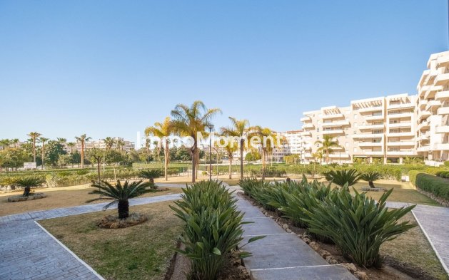 Resale - Apartment - Marbella - La Campana