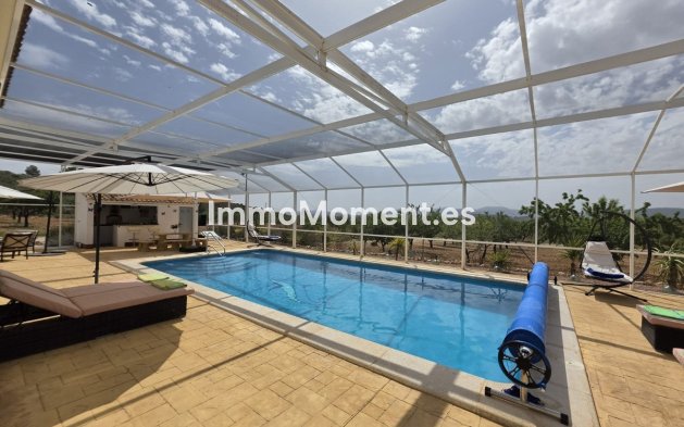 Bestaande woning - Vrijstaande villa - Pinoso - Lel