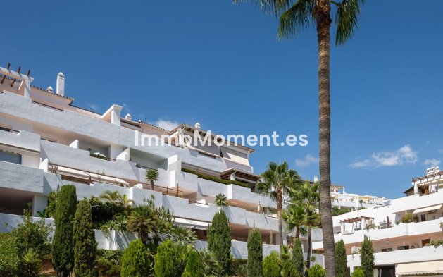 Bestaande woning - Appartement - Estepona  - Selwo