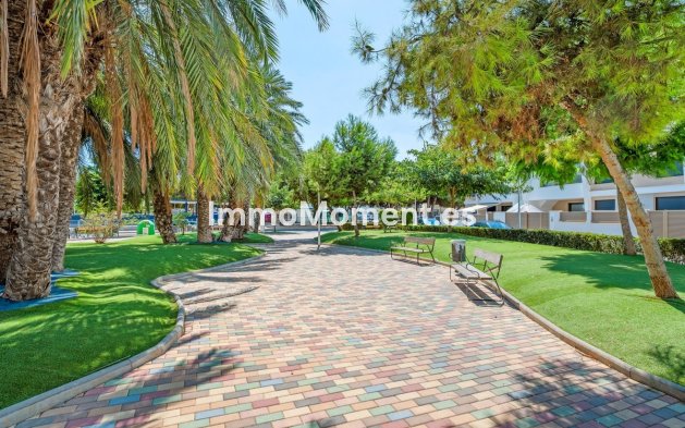 Resale - Apartment - San Pedro del Pinatar - San Pedro del Pinatar Centro