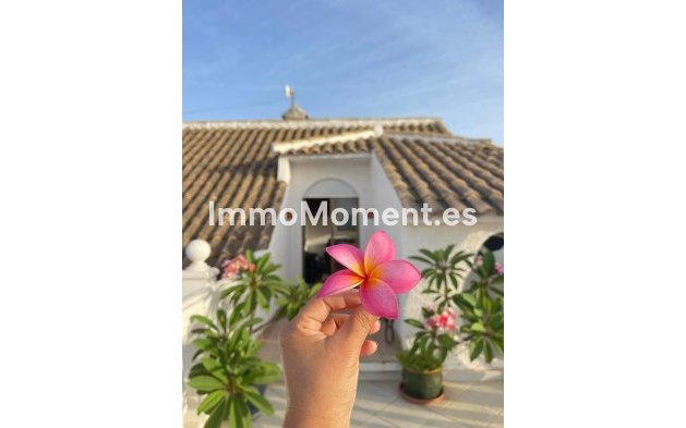 Wiederverkauf - Freistehende Villa - Mijas Costa - El Faro