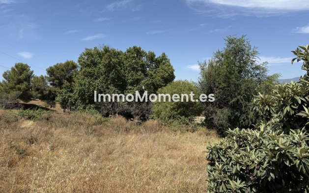 Reventa - Parcela - Marbella - San Pedro de Alcántara