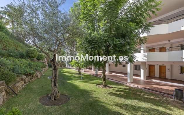 Wiederverkauf - Wohnung - Marbella - Guadalmina Alta