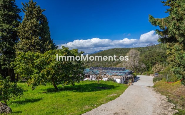 Reventa - Villa independiente - Casares - Casares Centro