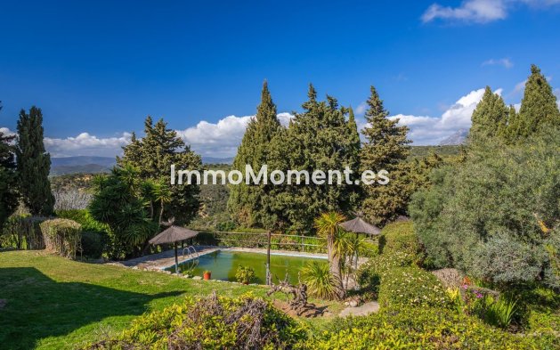 Reventa - Villa independiente - Casares - Casares Centro