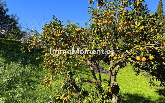 Reventa - Villa independiente - Casares - Casares Centro