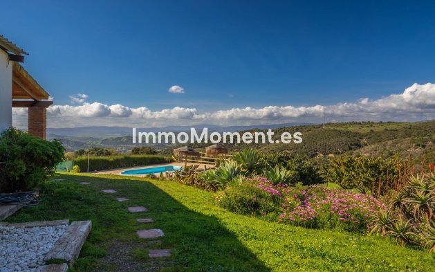Reventa - Villa independiente - Casares - Casares Centro