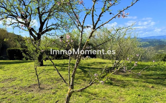 Reventa - Villa independiente - Casares - Casares Centro