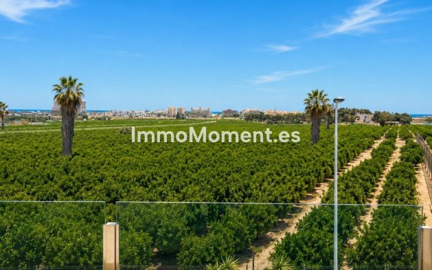 Wiederverkauf - Freistehende Villa - Torrevieja - Torrevieja Centro