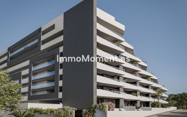 Neubau - Wohnung - San Miguel de Salinas