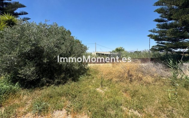 Resale - Country house - Dolores - Dolores Centro