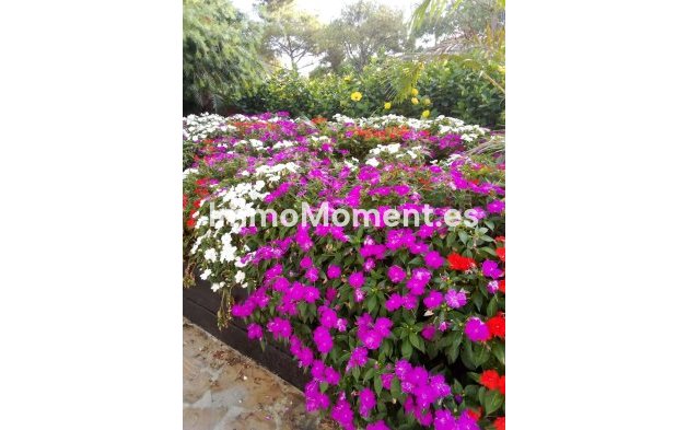 Bestaande woning - Appartement - Estepona  - El Presidente