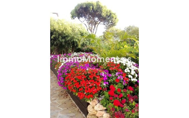 Bestaande woning - Appartement - Estepona  - El Presidente