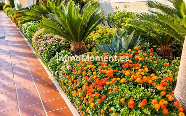 Resale - Apartment - Casares - Casares Playa