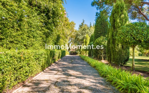 Reventa - Villa independiente - Sotogrande - Sotogrande Alto