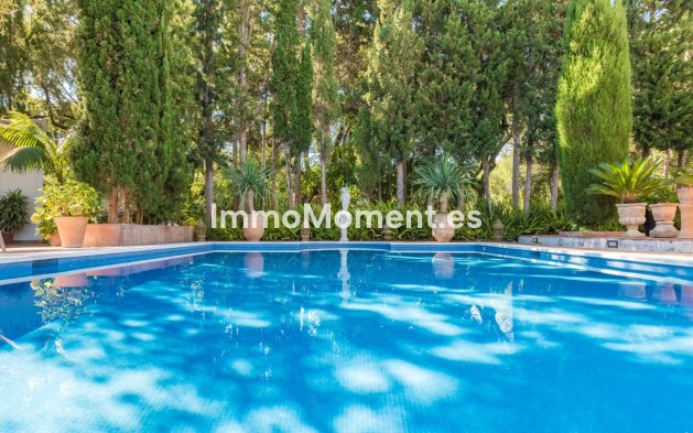 Reventa - Villa independiente - Sotogrande - Sotogrande Alto