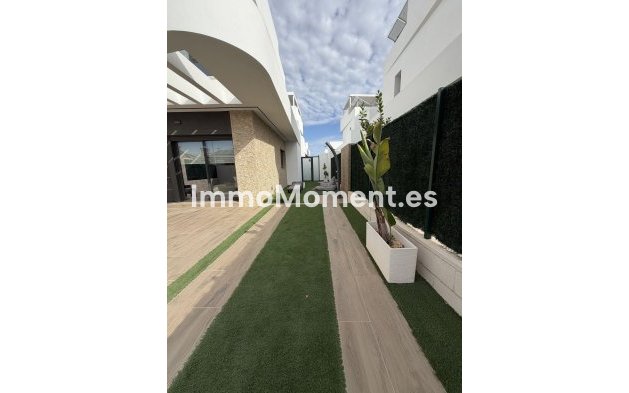 Resale - Detached villa - Los Montesinos - Los Montesinos Centro