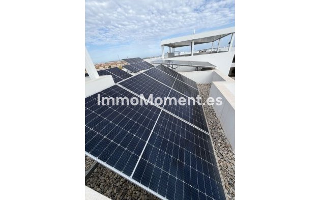 Resale - Detached villa - Los Montesinos - Los Montesinos Centro