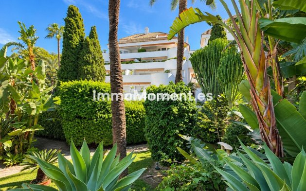 Wiederverkauf - Wohnung - Marbella - The Golden Mile