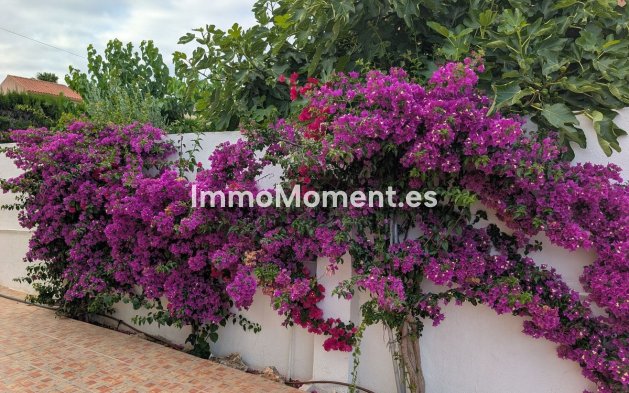 Bestaande woning - Vrijstaande villa - San Vicente del Raspeig - San Vicente del Raspeig Centro