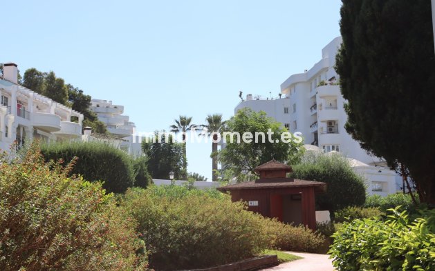 Long Term Rentals - Apartment - Marbella - Guadalmina Alta