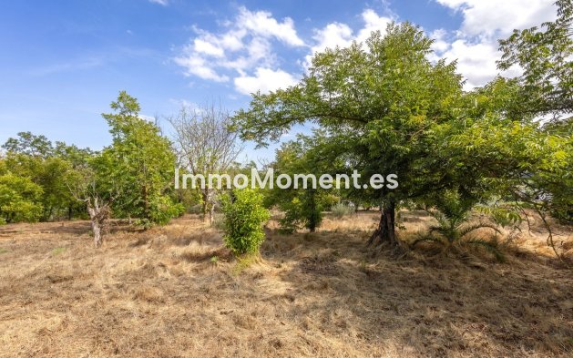 Resale - Country house - Inland  - Coín
