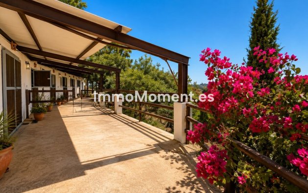 Reventa - Casa de campo - Mijas - Mijas Centro