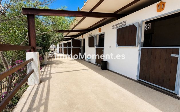 Reventa - Casa de campo - Mijas - Mijas Centro