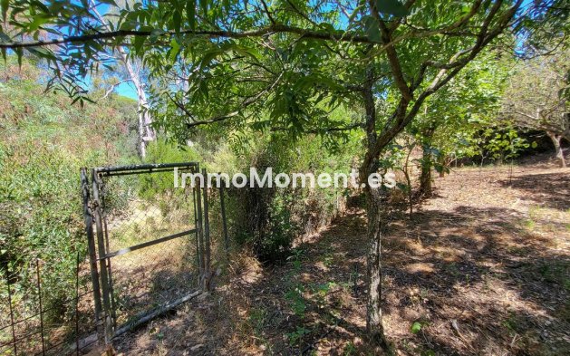 Resale - Detached villa - Marbella - Elviria