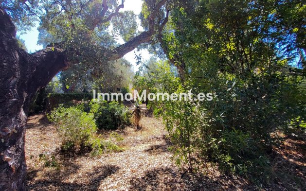 Resale - Detached villa - Marbella - Elviria
