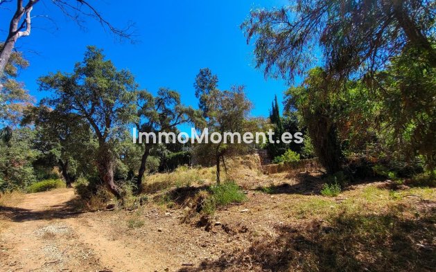 Resale - Detached villa - Marbella - Elviria