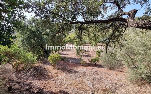 Resale - Detached villa - Estepona - Estepona Centro