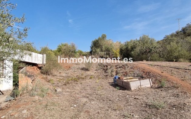 Resale - Detached villa - Estepona - Estepona Centro