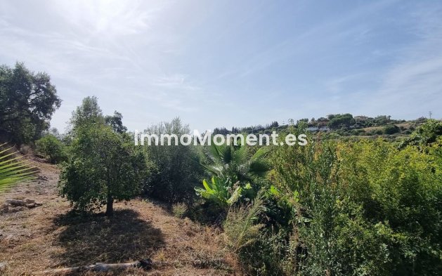 Resale - Detached villa - Estepona - Estepona Centro