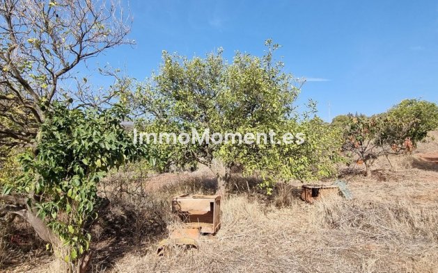 Resale - Detached villa - Estepona - Estepona Centro