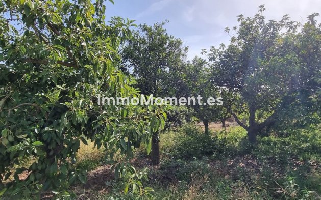 Resale - Detached villa - Estepona - Estepona Centro