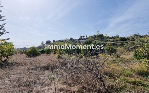 Resale - Detached villa - Estepona - Estepona Centro