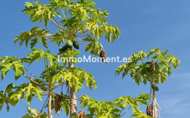 Resale - Detached villa - Estepona - Estepona Centro