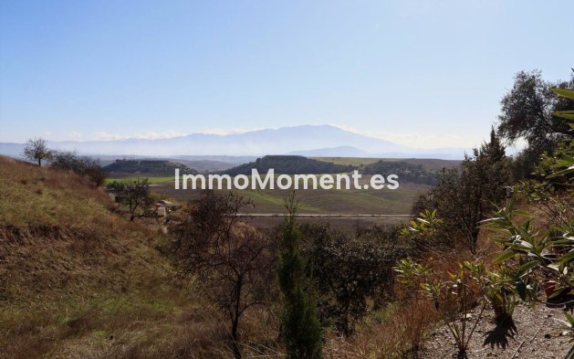Reventa - Casa de campo - Interior  - Cártama Centro