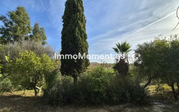 Revente - Maison de campagne - Intérieur                       - Estacion de Cartama