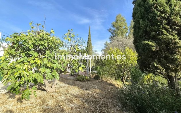 Revente - Maison de campagne - Intérieur                       - Estacion de Cartama
