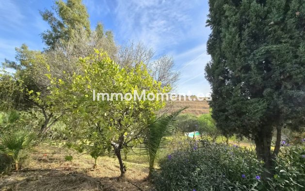 Revente - Maison de campagne - Intérieur                       - Estacion de Cartama